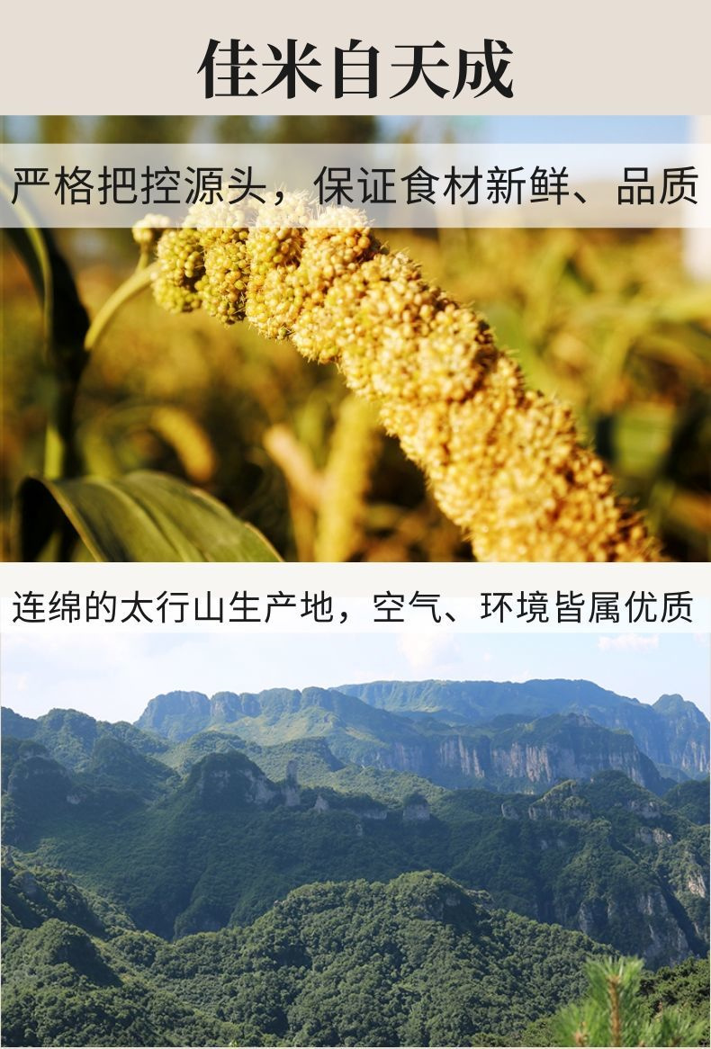 8349364c-bd3a-4981-b904-ea5f0d13c489.jpeg.a.jpg