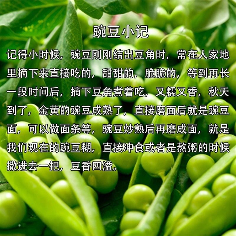 41b19a08-76c1-4e87-a7fe-b9a0b5875e03.jpg