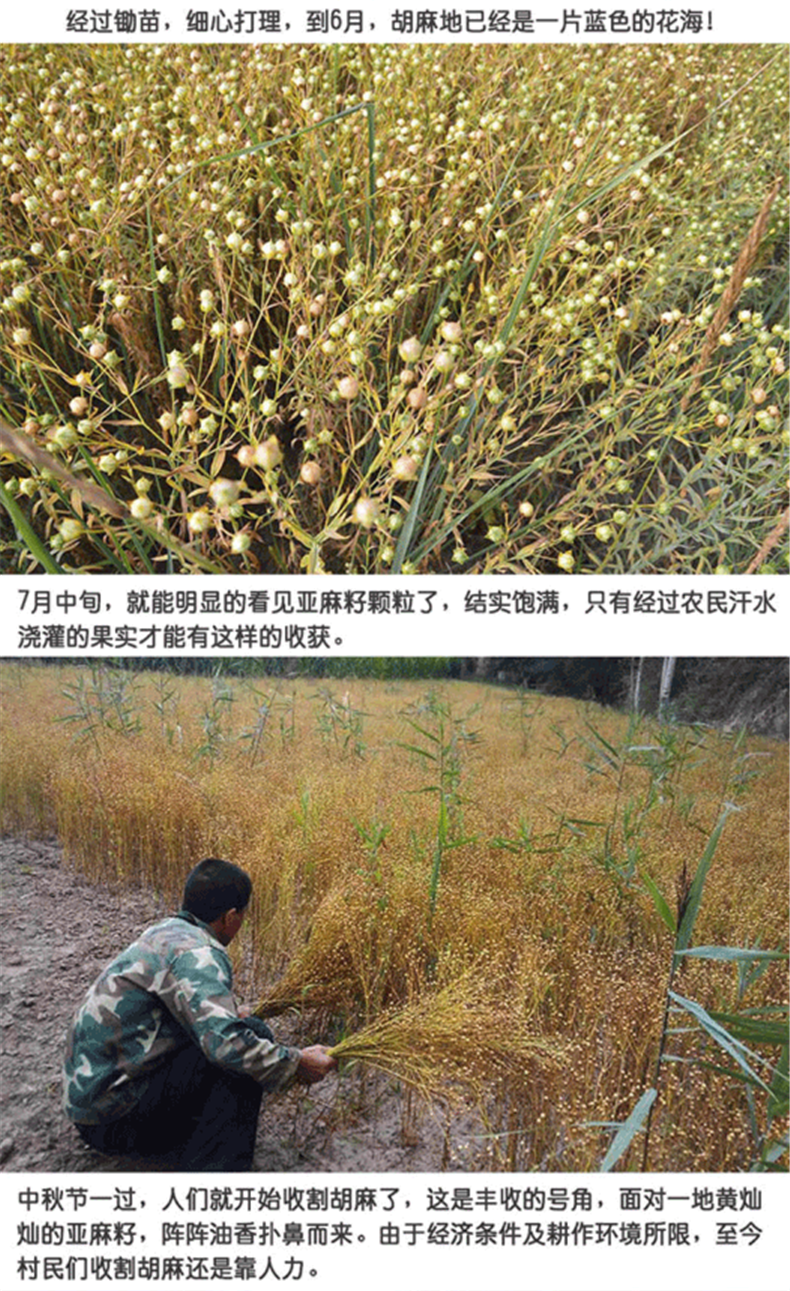 7ae93d8c-2d7f-48d5-9651-a4081eb45c44.png